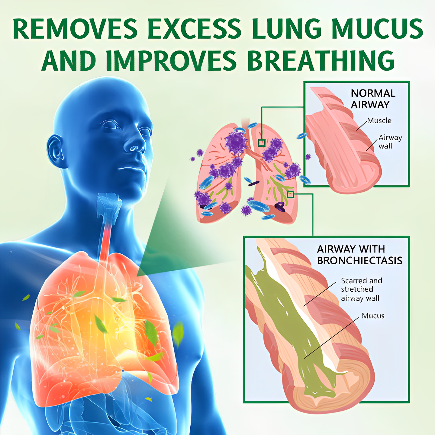 🌞 Only 6-8 boxes left! We’re offering an additional 30% discount! Recommended by pulmonologists, 4-6 boxes can improve your lung issues and prevent relapse! If you miss this opportunity, you’ll have to wait until next year for another chance!